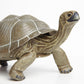 Safari Ltd. Tortoise Figurine - Detailed 8.5" Plastic Model Figure - Fun Educational Play Toy for Boys, Girls & Kids Ages 18 Months+