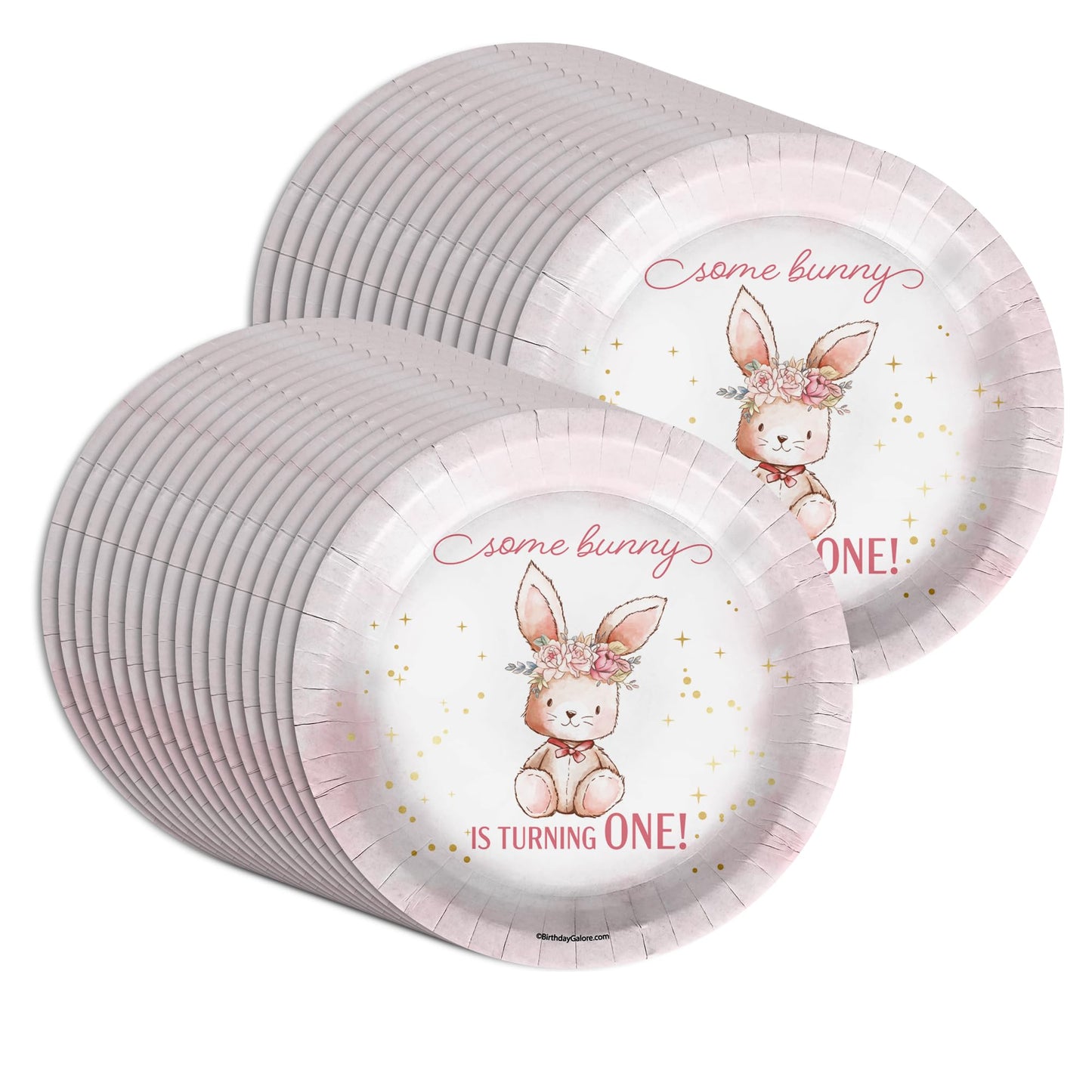 Some Bunny is Turning One First Birthday - 32 Piece Disposable Party Supplies - Decorations for Rabbit 1st Birthday Round Party Plates - Large 9"