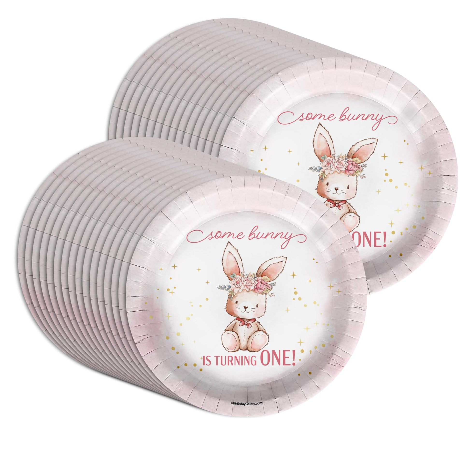 Some Bunny is Turning One First Birthday - 32 Piece Disposable Party Supplies - Decorations for Rabbit 1st Birthday Round Party Plates - Large 9"