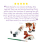 Melissa & Doug Created by Me! Horse Figurines Craft Kit (2 Resin Horses, 6 Paints, Paintbrush)
