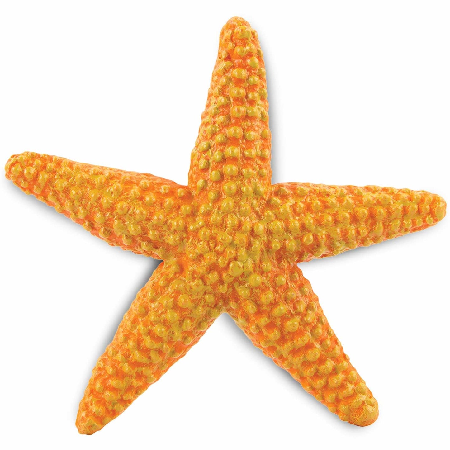 Safari Ltd. Starfish Figurine - Vibrant 4.5" Sea Star Figure - Educational Toy for Boys, Girls, and Kids Ages 3+