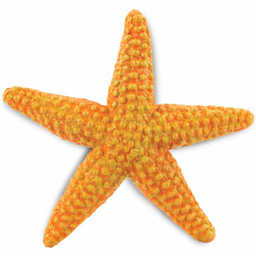 Safari Ltd. Starfish Figurine - Vibrant 4.5" Sea Star Figure - Educational Toy for Boys, Girls, and Kids Ages 3+