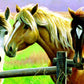 SUNSOUT INC - Horse Fence - 1000 pc Jigsaw Puzzle by Artist: Cynthie Fisher - Finished Size 19" x 30" - MPN# 70922
