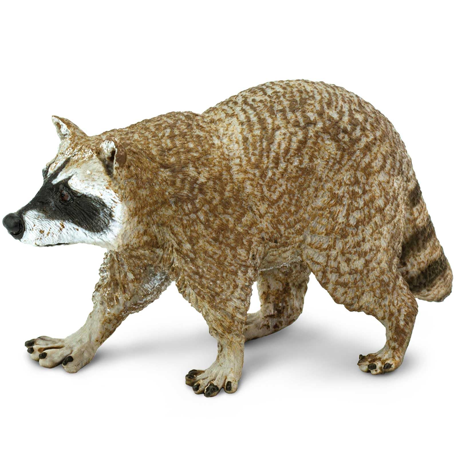 Safari Ltd. Raccoon Figurine - Detailed 3.5" Plastic Model Figure - Fun Play Toy for Boys, Girls & Kids Ages 1+