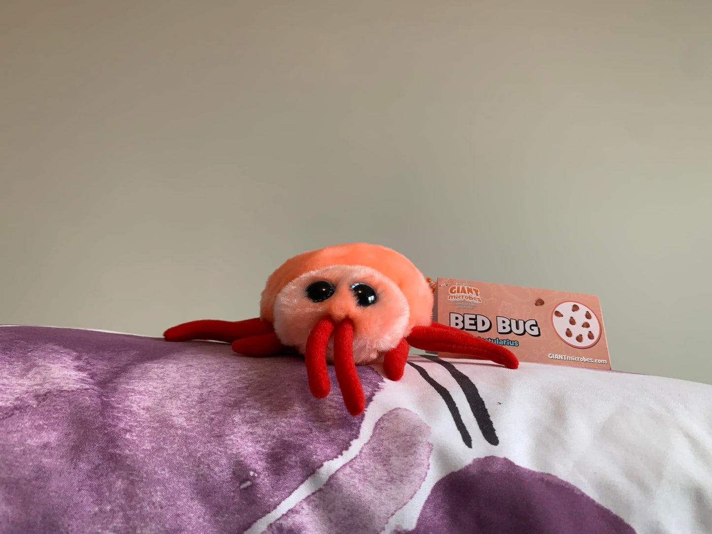 GIANTmicrobes Bed Bug Plush - Learn About This Common Crawler with This Cuddly Plush, Unique Gift for Friends, Family, Educators, Students