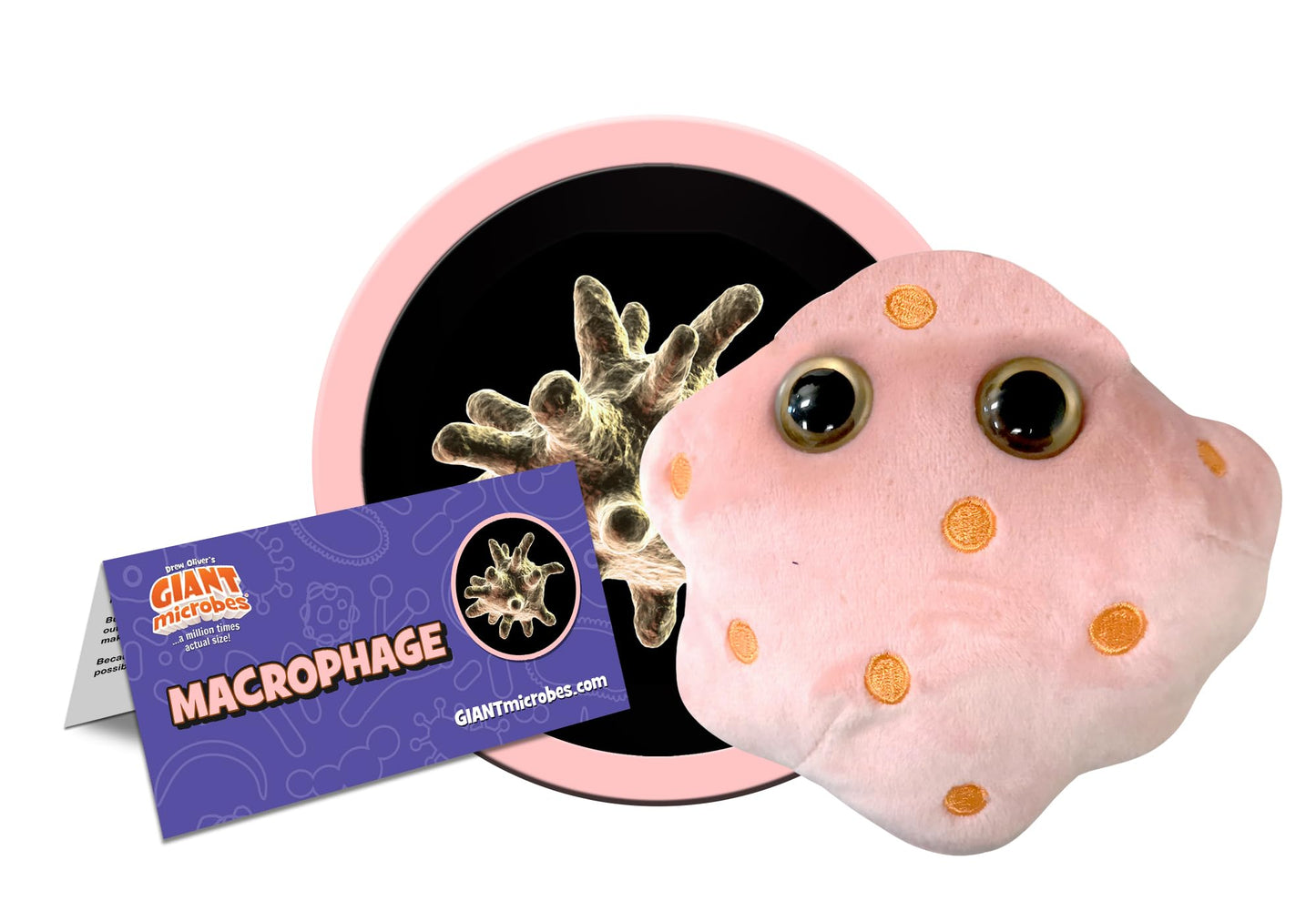 GIANT MICROBES Macrophage Plush - Learn About Blood, Health and the Immune System, Memorable Gift for Friends, Family, Students, Doctors, Teachers