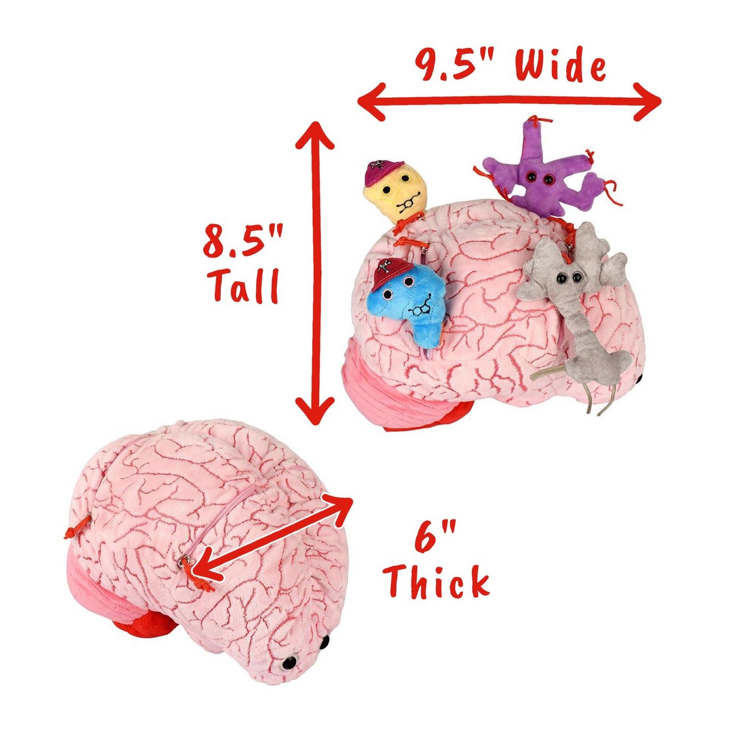 GIANT MICROBES Deluxe 9.5” Brain Plush - Includes Hidden Cells & Neurons