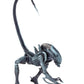 NECA - Aliens vs Predator (Arcade Appearance) - 7" Scale Action Figures - Arachnoid