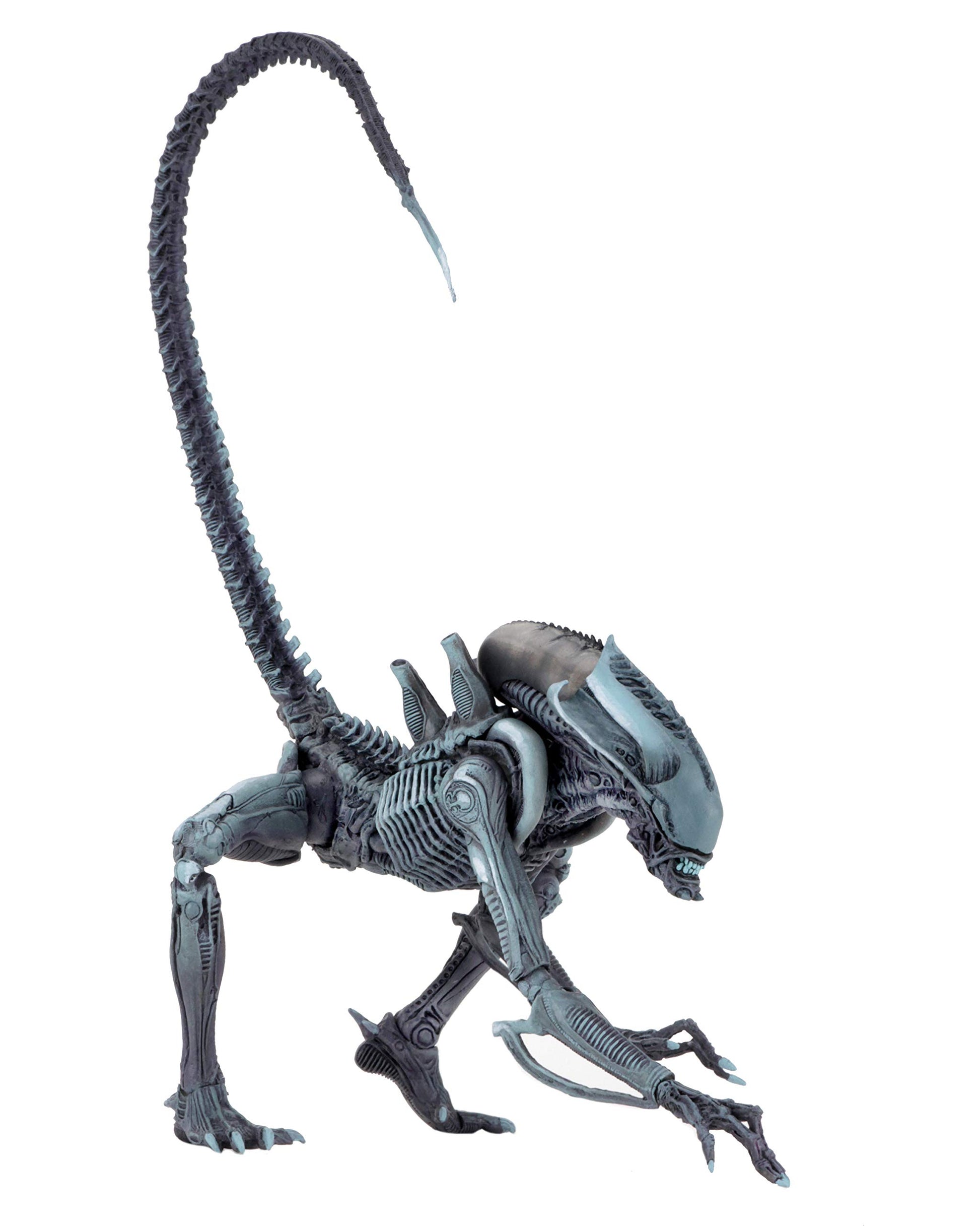 NECA - Aliens vs Predator (Arcade Appearance) - 7" Scale Action Figures - Arachnoid