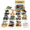 RUSON 12 Safari Animals Figures Toys with 12 Flash Cards, Realistic Mini Jungle Animal Figurines Cake Topper Party Supplies Montessori Animal Matching