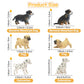 Toymany 12PCS Mini Dog Figurines Playset, Realistic Detailed Plastic Puppy Figures, Hand Painted Emulational Tiny Dogs Animals Toy Set, Cake Toppers