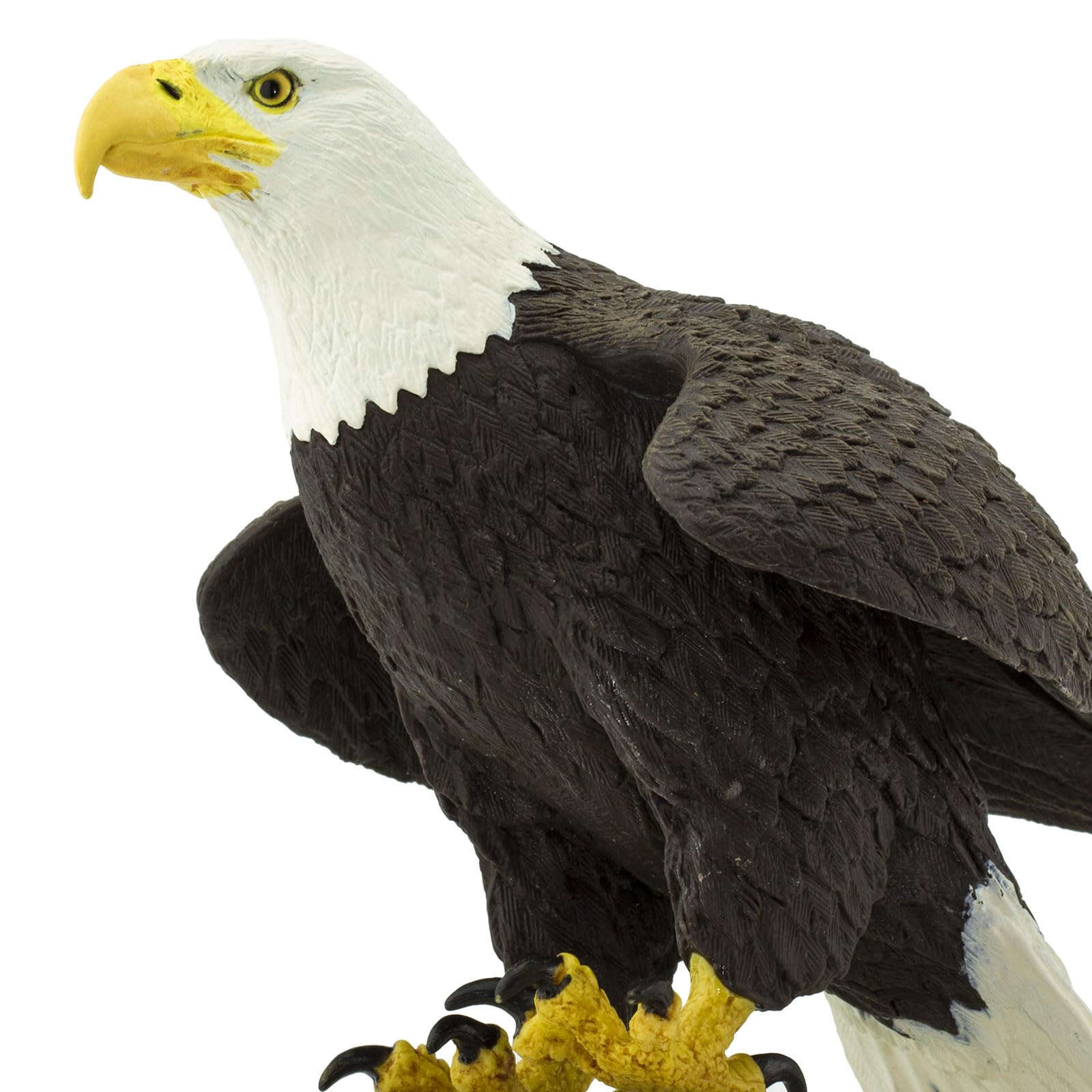 Safari Ltd. Bald Eagle Figurine - Detailed 7" Plastic Model Figure - Fun Educational Play Toy for Boys, Girls & Kids Ages 18 months+