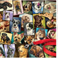 Buffalo Games - The Best of Friends - 750 Piece Jigsaw Puzzle for Adults