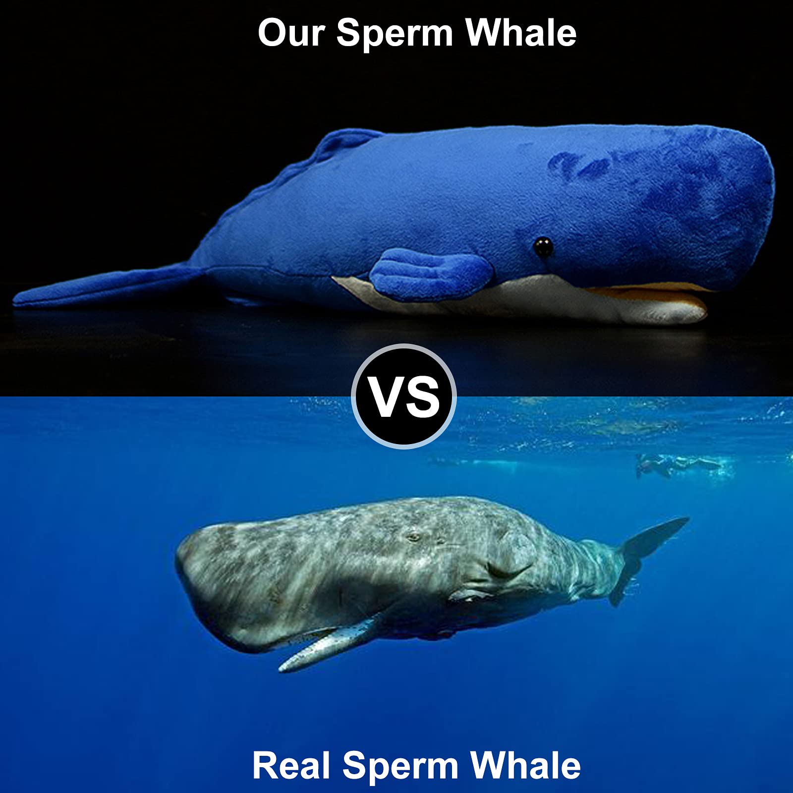 Frankiezhou Home Realistic Sperm Whale Plush Toy - Blue Long Lifelike Sperm Whale Stuffed Toys, Super Soft Sea Physeter Macrocephalus Dolls Plush Pot