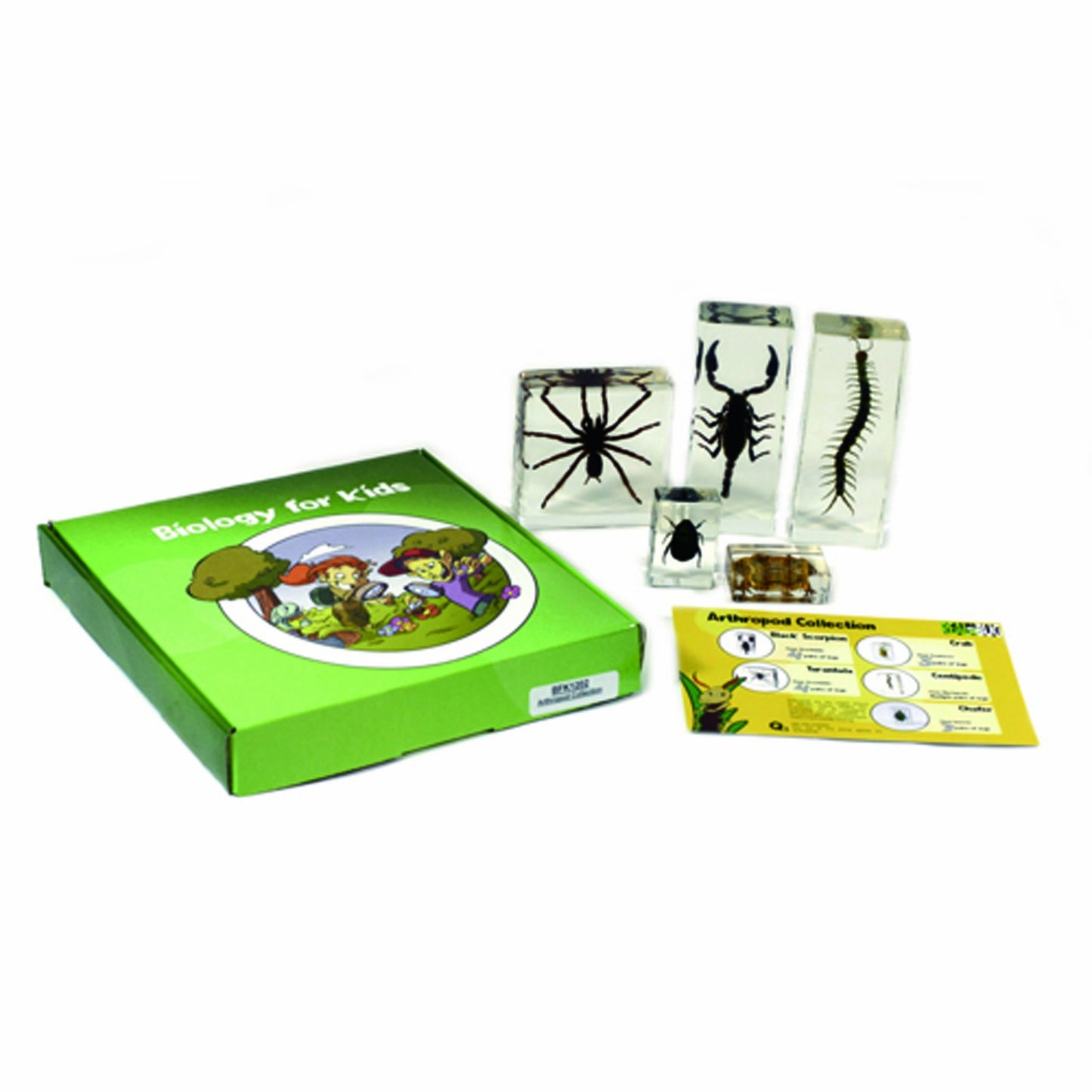 REALBUG Arthropod Collection 5pc Set, Small