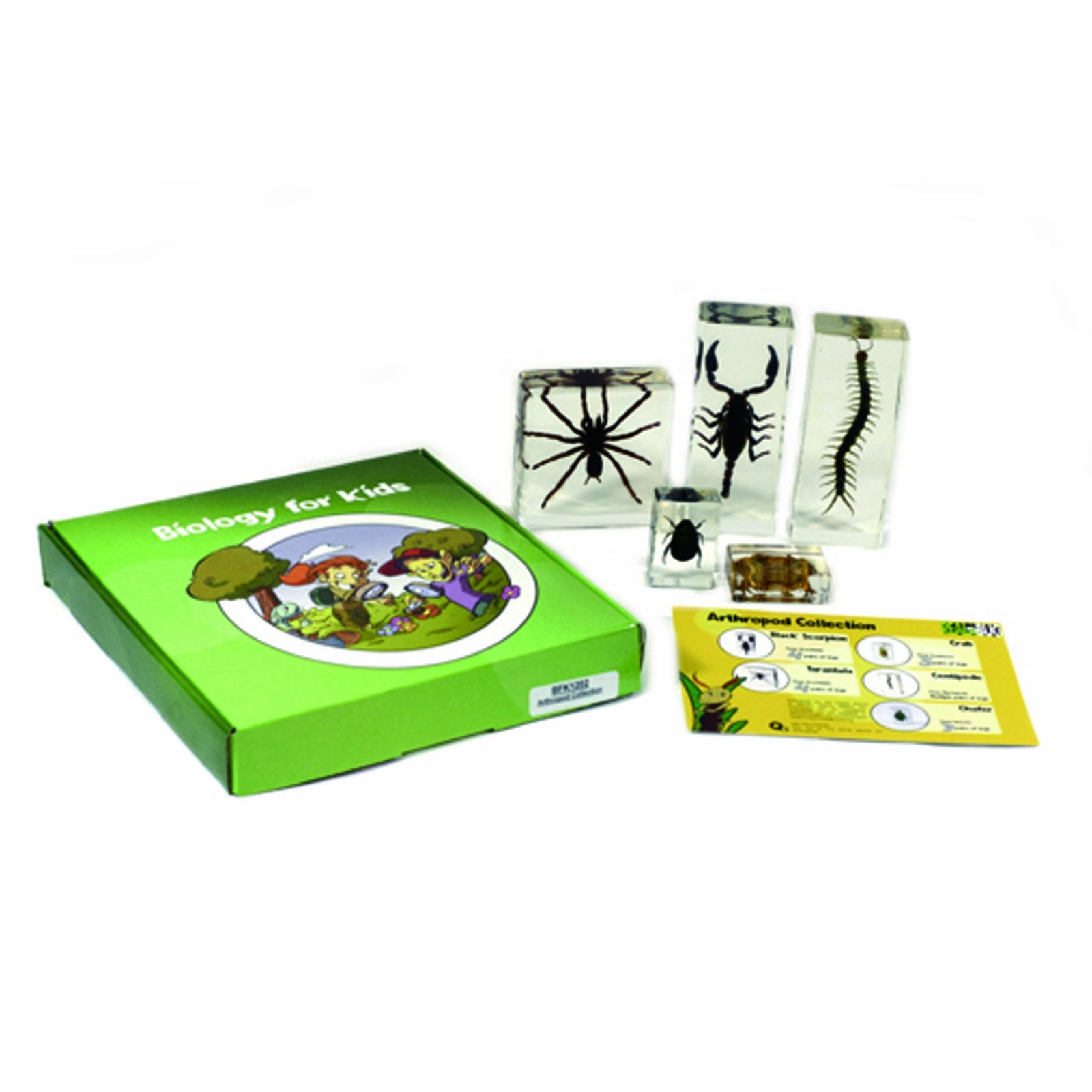 REALBUG Arthropod Collection 5pc Set, Small