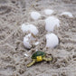 Safari Ltd. Green Sea Turtle Baby Figurine - Realistic 2.38" Model Figure - Educational Toy for Boys, Girls, and Kids Ages 1+
