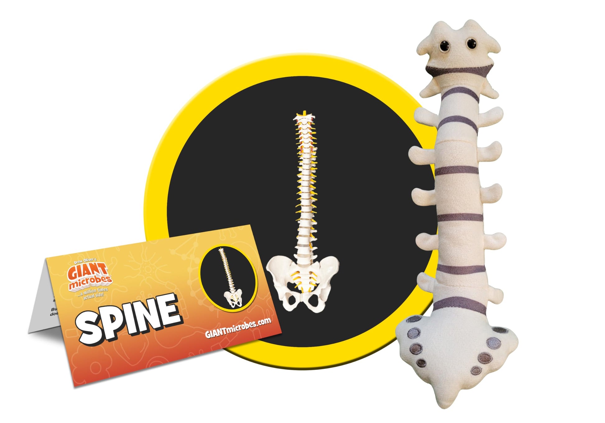 GIANT MICROBES Spine Plush, Spine Surgeon, Back Surgery Recovery, Anatomy Model, Neurology Gifts, Funny Chiropractor Gift, Neurosurgery Gifts, Back