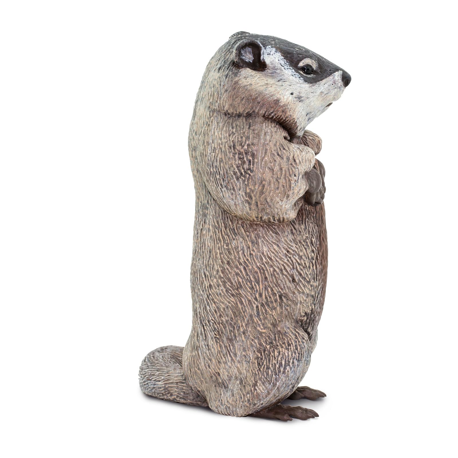 Safari Ltd. Groundhog - Lifelike 4.5" Model Figure - Educational Toy for Boys, Girls and Kids Ages 18 Months +