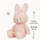 GUND Baby Sustainably Soft Bunny 13” Rabbit Stuffed Animal