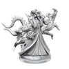 WizKids D&D Frameworks: Tiefling Warlock Male - Unpainted and Unassembled