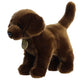 Aurora - Miyoni - 10" Chocolate Labrador