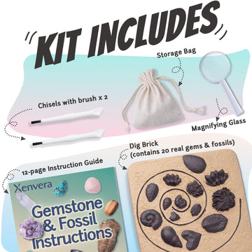 Xenvera Gemstone and Fossil Dig Kit - Excavate 10 Gems and 10 Fossils, STEM Geology Set, Educational Toy, Science Kit for Kids Ages 8+
