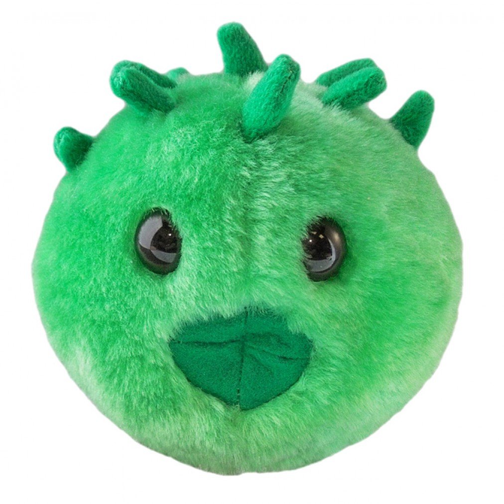 GIANTmicrobes Chlamydia Plush, STIs, STDs, Medical Gag Gifts Funny, OBGYN Gifts for Doctors, Infection Prevention Gifts, Infection Control Nurse Gifts