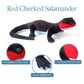 The Petting Zoo Salamander Stuffed Animal Plushie, Gifts for Kids, Wild Onez Reptile Animals, Red Cheeked Salamander Plush Toy 9 Inches
