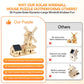 STEM Solar-Powered 3D Wooden Puzzle Kit - DIY Dutch Windmill House Building Toy | Educational Science Craft for Kids 8-15 & Adults | Hands-On Creative
