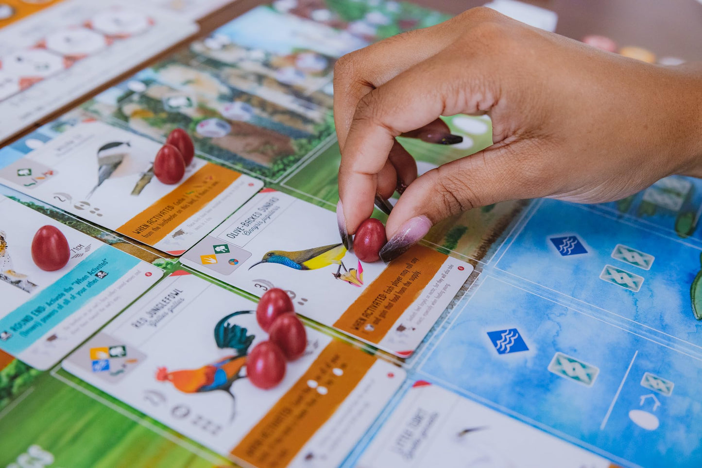 Stonemaier Games: Wingspan Asia by Elizabeth Hargrave | Standalone Game or Expansion to Wingspan | A Relaxing Game About Collecting Birds | Add