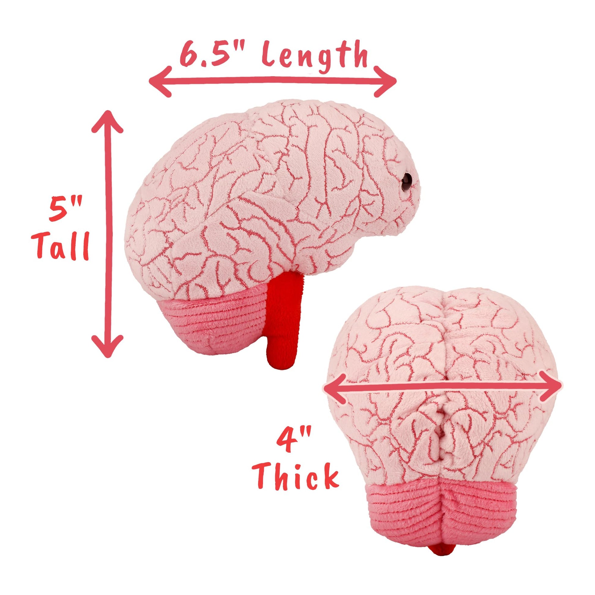GIANT MICROBES Brain Plush - Anatomical Brain with Embroidered Details