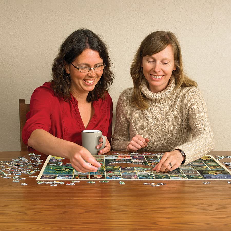 Cobble Hill 1000 Piece Puzzle - Nancy Drew - Sample Poster Included