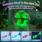 Nisuez Magic Water Elf Toy Kit for Kids, 30 Colors Magic Gels & 20 Molds, Water Gel Kit, Water Squishy Making Kit, Crate Your Own Magic Elf Kits Water