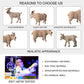 JOKFEICE Animal Figures 4pcs Plastic White Goat Animals Action Model Science Project, Learning Educational Toys, Birthday Gift, Cake Topper, for Kids