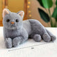 TUKVESZE Gray Cat Plush Soft Plush Cat Toy, 12 inch Realistic Black Cat Stuffed Animal Gifts for Boys and Girls (Gray)