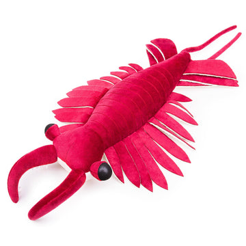 Frankiezhou Home Realistic Anomalocaris Plush Toy - Lifelike 21" Cambrian Ancient Organism Sea Creature Anomalocaris Shrimp Stuffed Animals, Creative