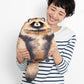 Raccoon Plush, 12" Raccoon Stuffed Animal, Cute Plushies for Girls, Soft Plush Pillow, Kitten Plush Throw Pillow Doll Big Plush Toy Decoration Doll