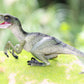 Gemini&Genius Velociraptor Dinosaur Toy for Kids, Realistic Velociraptor Dino, Detail Raptor Action Figure, Gift and Dinos World Collection Toy