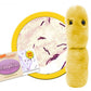 GIANTmicrobes Acidophilus Plush - Learn About Probiotics and The Gut Microbiome with This Educational Gift for Doctors, Students, Biologists