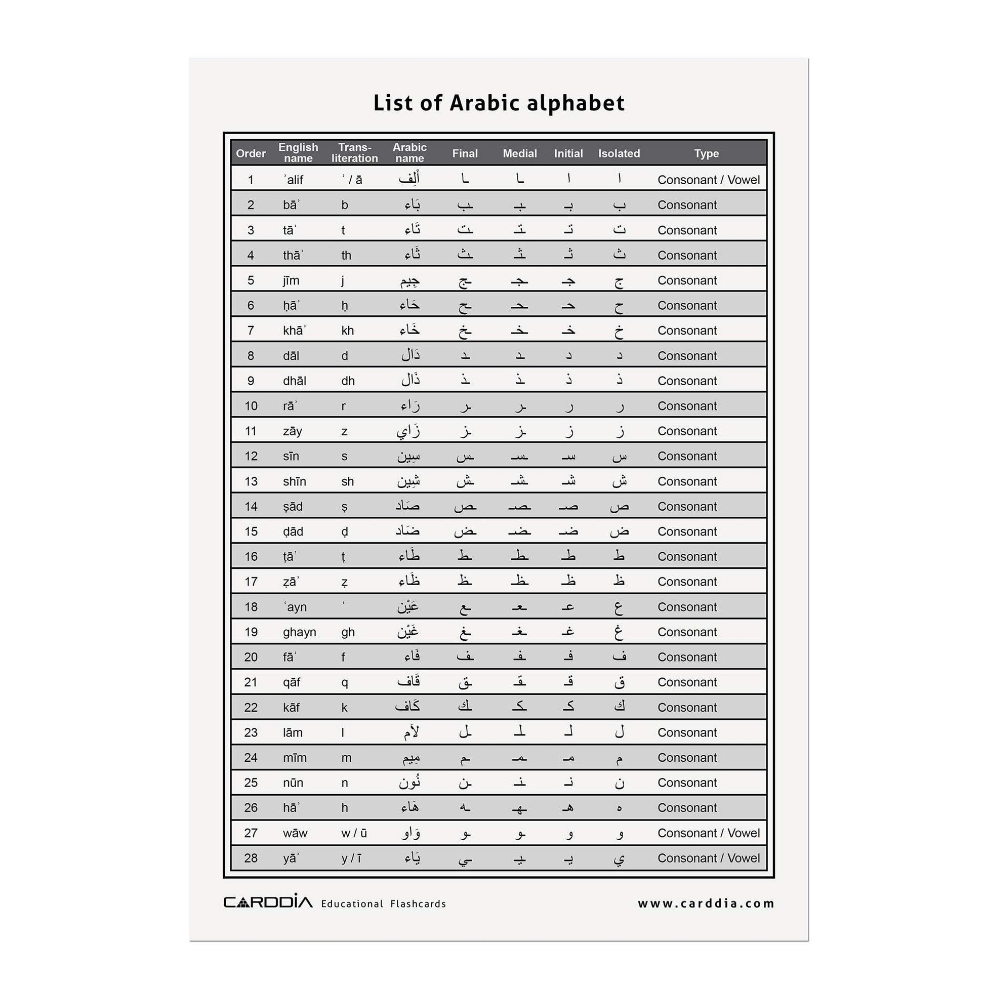 CARDDIA | Arabic Alphabet Educational Flashcards | Includes Consonants, Vowels, Diacritics and Numerals | Ideal for Arabic Language Beginners
