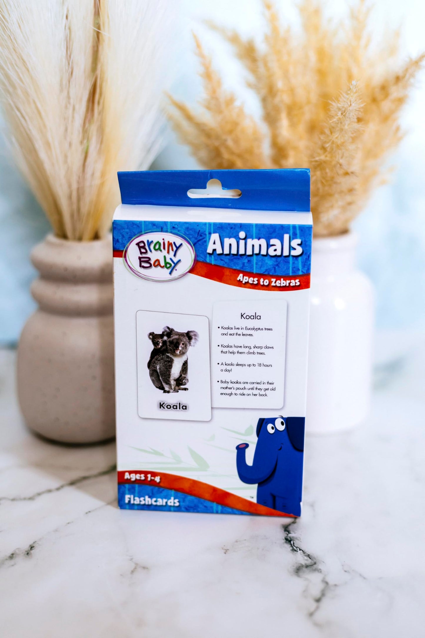 Brainy Baby Animals Flashcards and Shapes & Colors Flashcards Deluxe Edition Set of 2