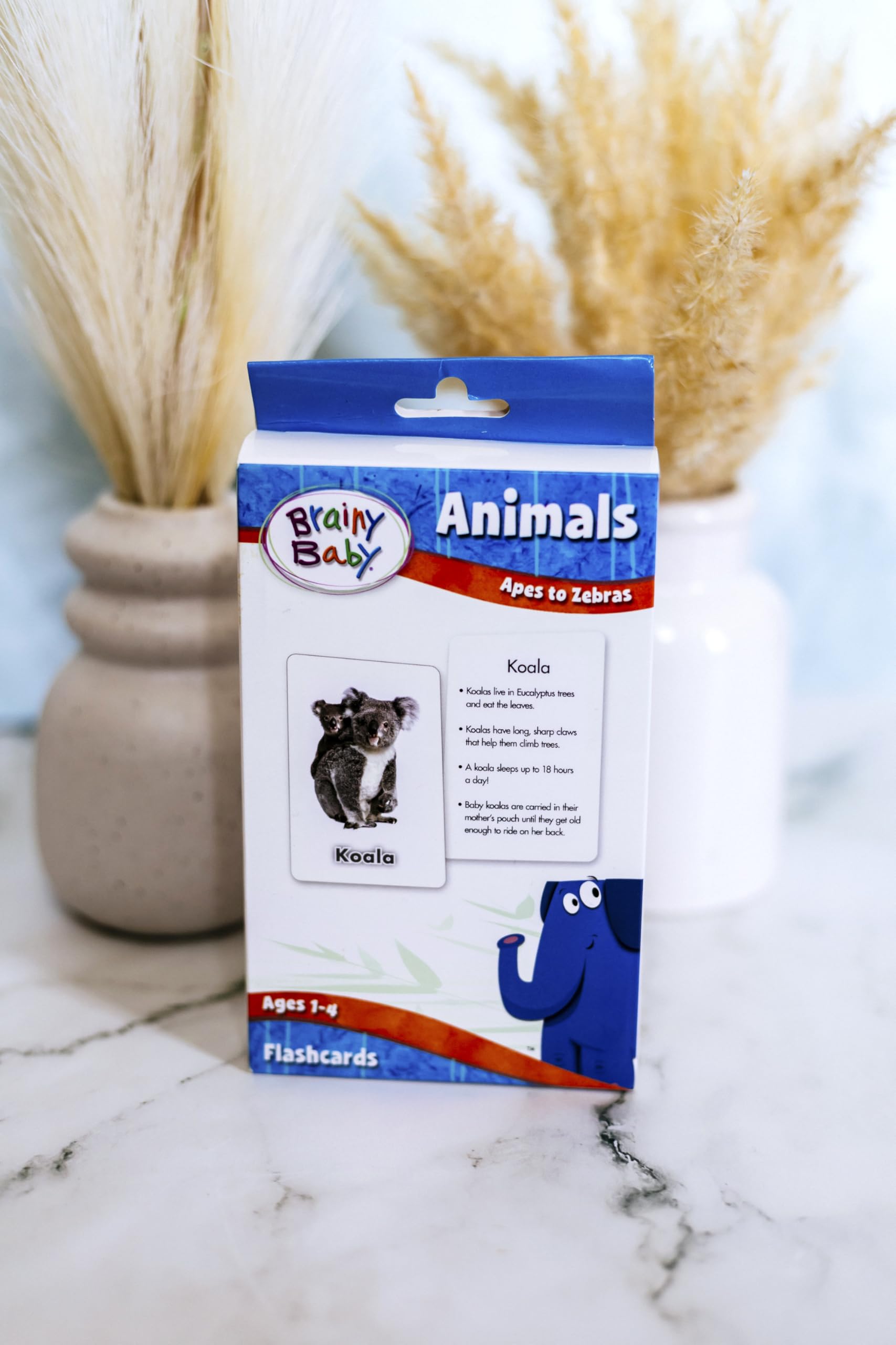 Brainy Baby Animals Flashcards and Shapes & Colors Flashcards Deluxe Edition Set of 2