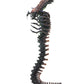 NECA - Aliens - 7" Scale Action Figure - Series 13 Snake