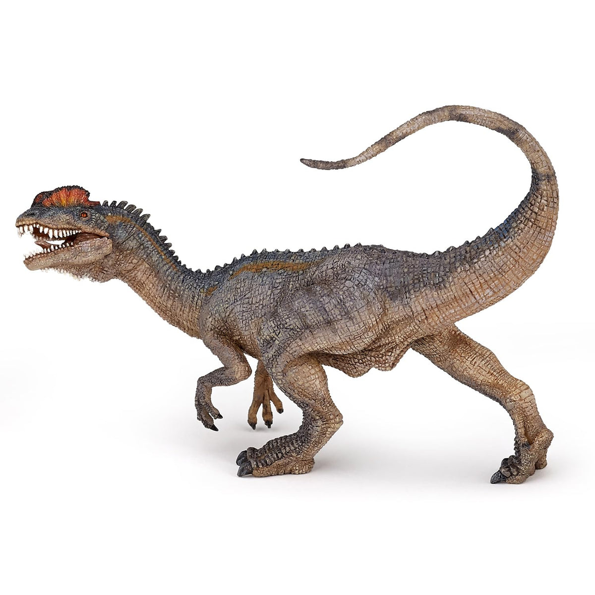 Realistic Dilophosaurus Figurine Toy, Dinosaurs Collection, Kids Ages 3+