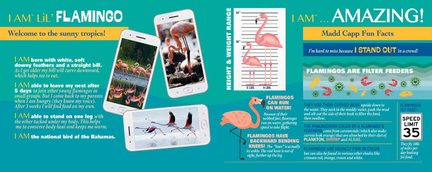 Madd Capp LiL' FLAMINGO 100 Piece Jigsaw Puzzle For Ages 5+ - 4009 - Unique Animal-Shaped Border, Poster Size when completed, Oversized Puzzle Pieces