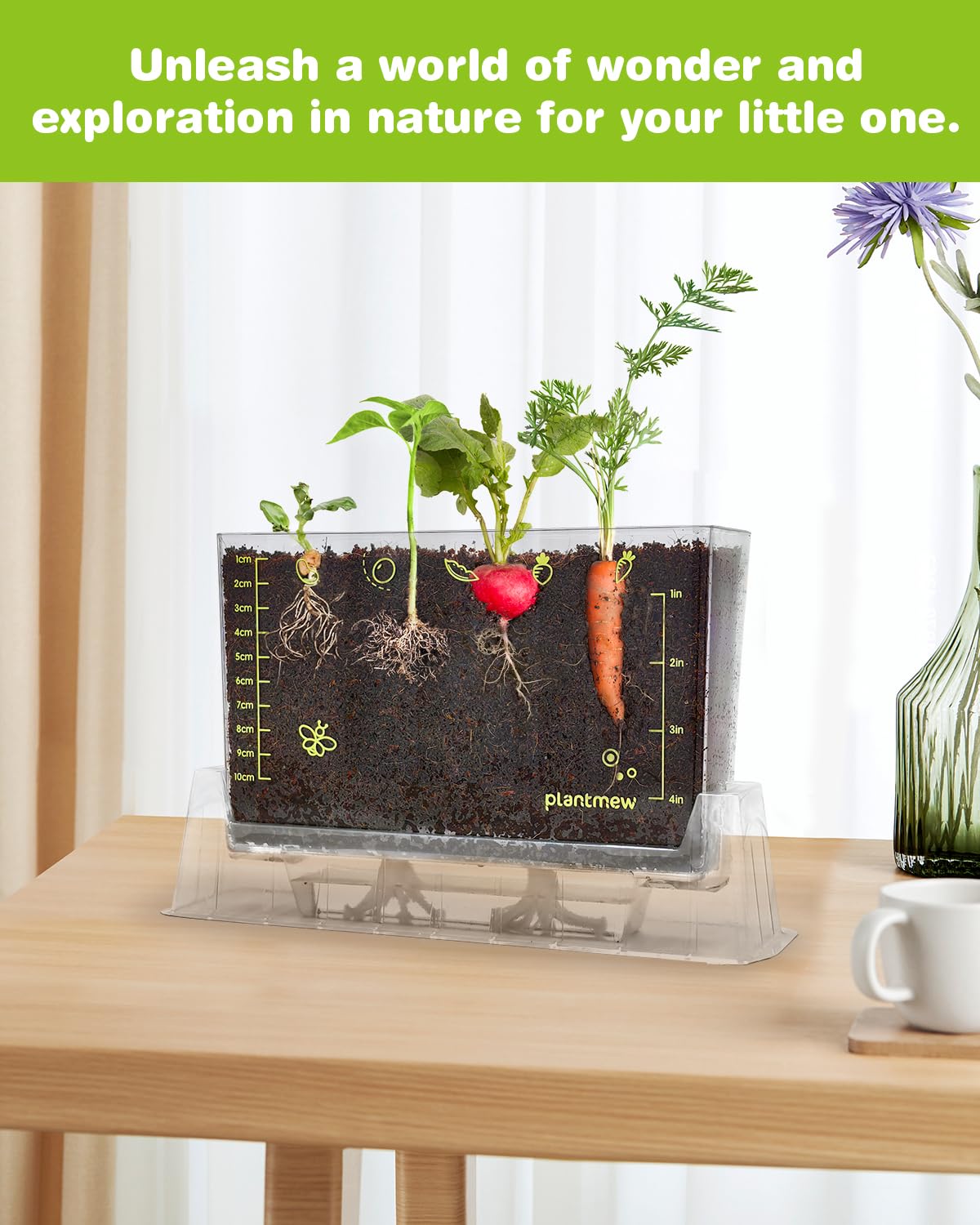 Root Viewer Kit for Kids with 6 Seed Varieties - STEM Science Kits for Kids Age 5-7, 8-12 | Perfect Christmas, Easter, Birthday Gift & School