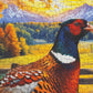 Springbok Golden Fields Pheasant 500 Piece Jigsaw Puzzle for Adults