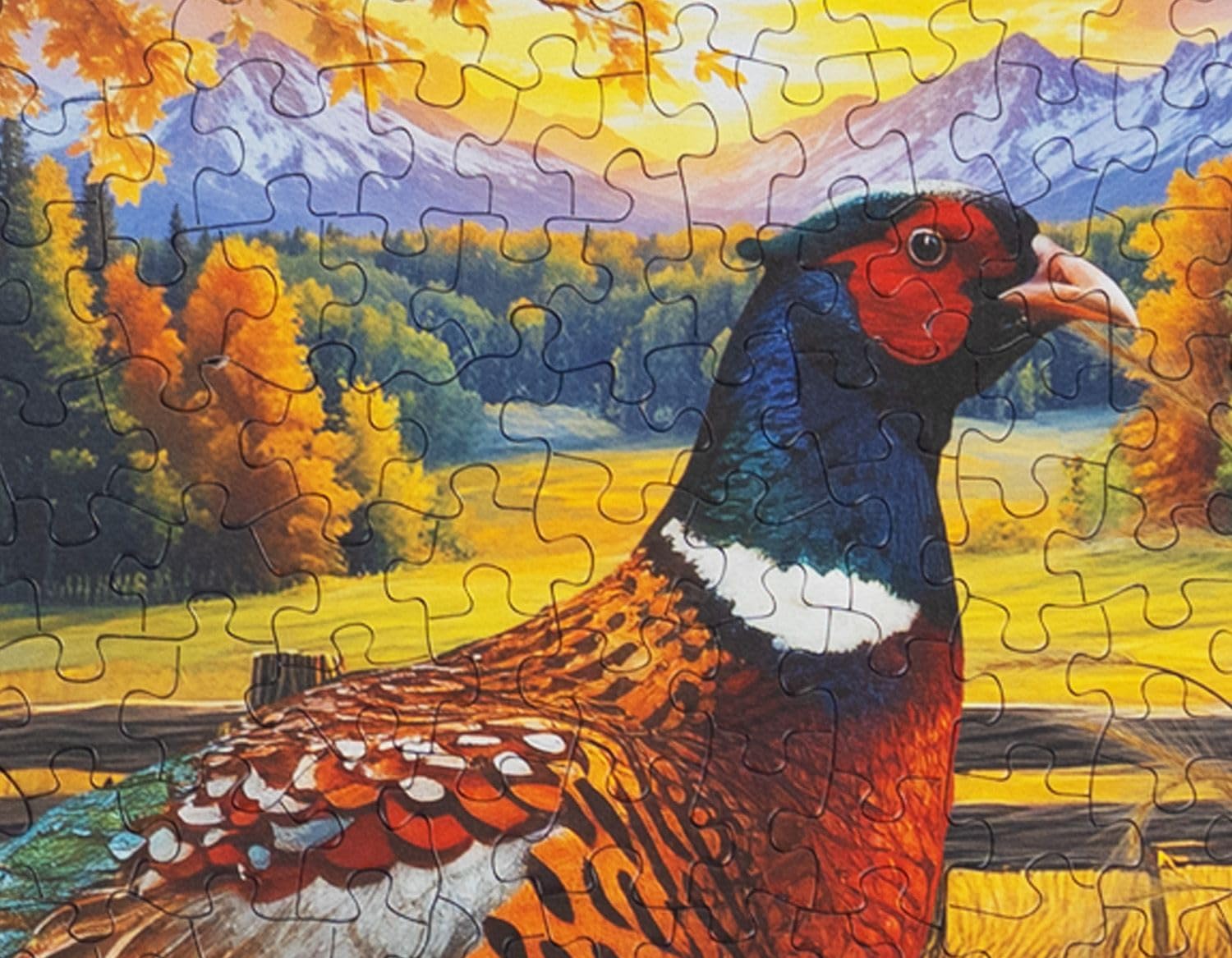 Springbok Golden Fields Pheasant 500 Piece Jigsaw Puzzle for Adults