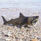 Safari Ltd. Basking Shark Figurine - Detailed 5.75" Plastic Model Figure - Fun Educational Play Toy for Boys, Girls & Kids Ages 3+